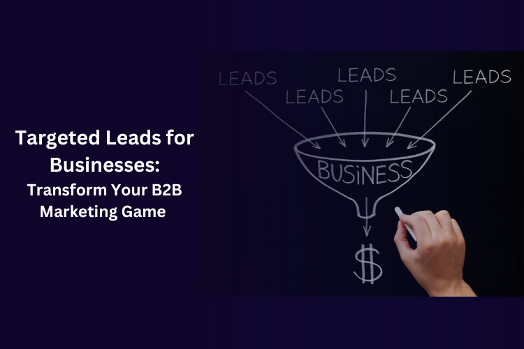 Targeted Leads for Businesses: Transform Your B2B Marketing Game