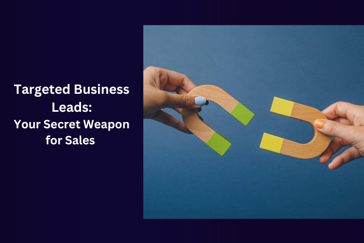 Targeted Business Leads: Your Secret Weapon for Sales Success